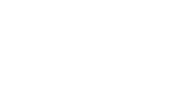 Amfisol